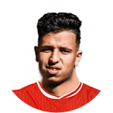 عماد الرياحي